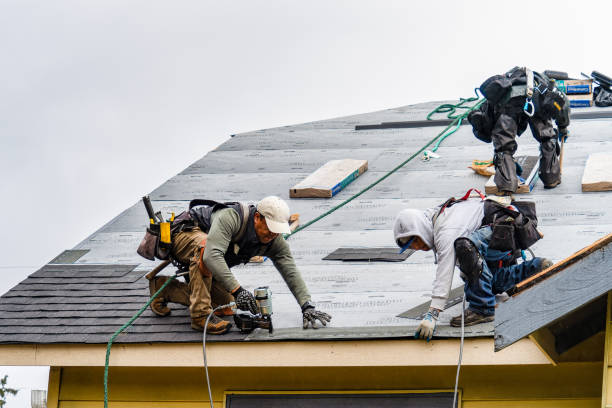 Professional Gutter Installation technician working in Esmond, IL